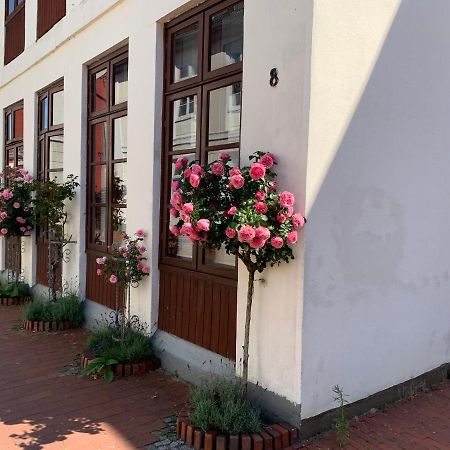 Apartment Thor Am Schleswiger Dom Exteriör bild